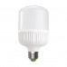 Светодиодная EUROELECTRIC LED Лампа высокомощная 30W E27 6500K